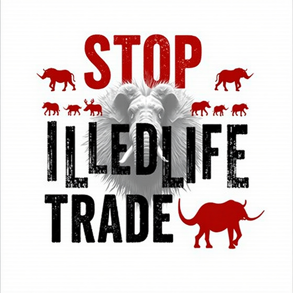 illegal wildlife