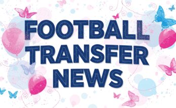 football transfer news