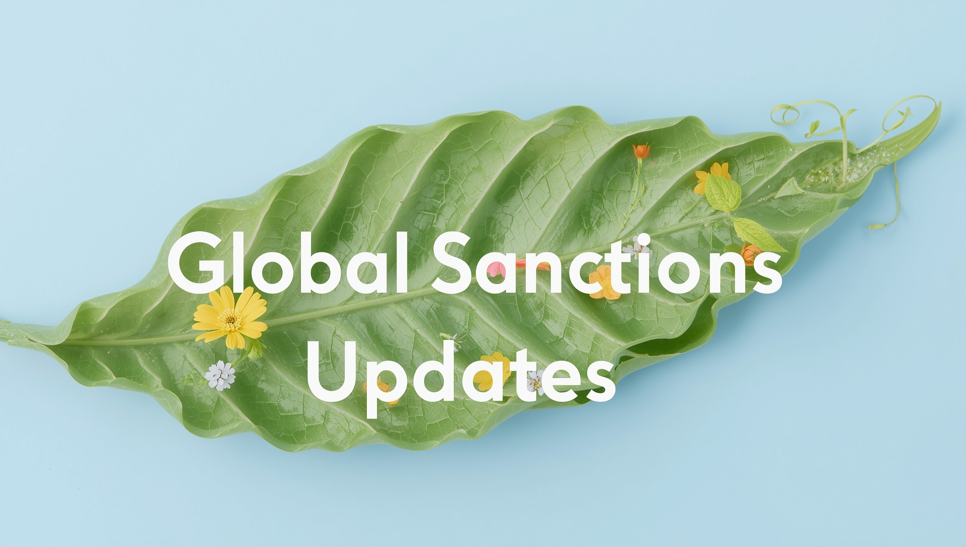 global sanctions updates
