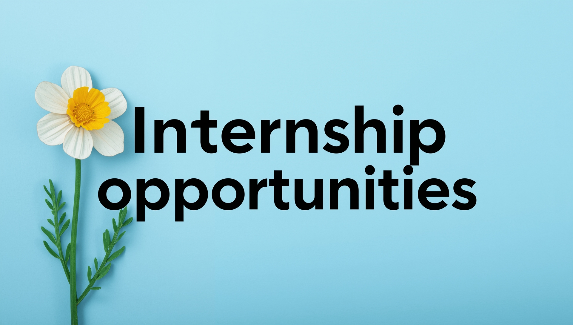 internship opportunities abroad